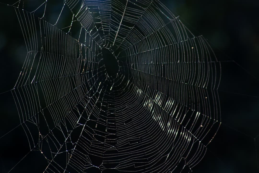 Photo Dark Web Monitoring