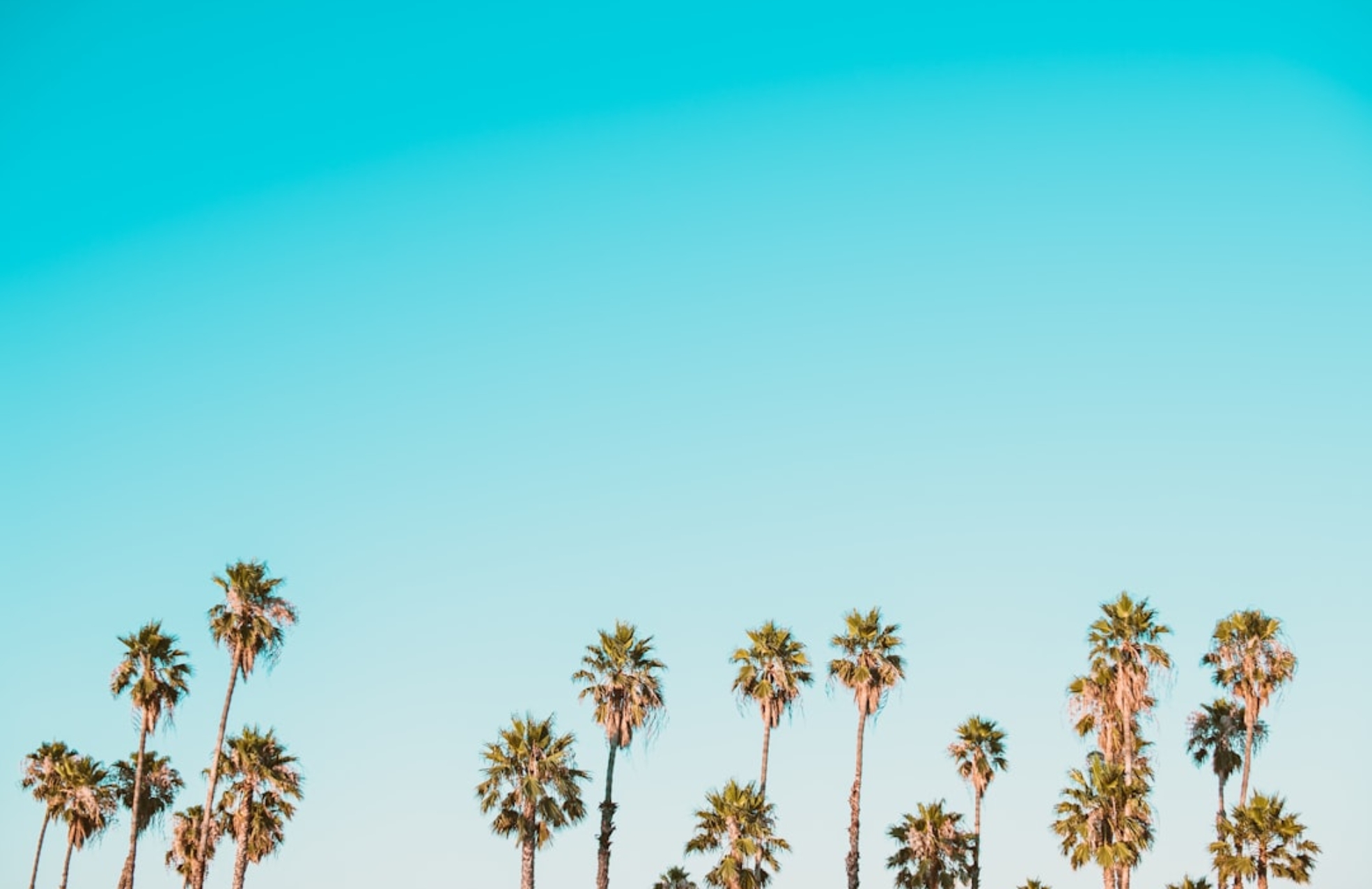 Photo Personalized AI Assistants