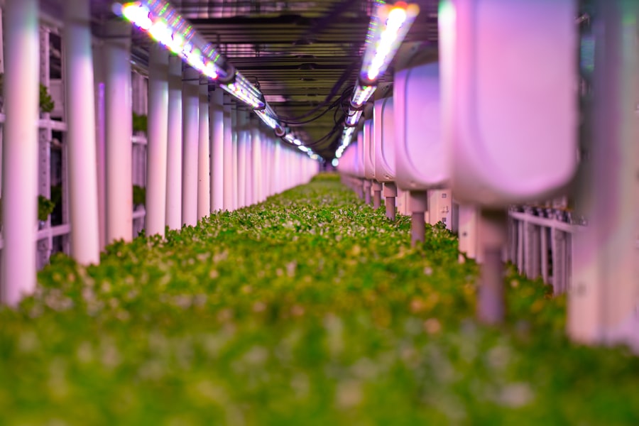 Vertical Farming