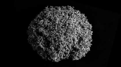 Photo Asteroid Mining Feasibility