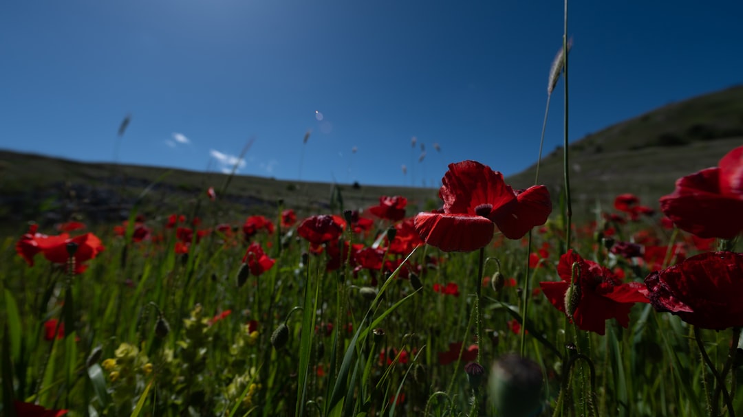 Home 72 Photo Emotional AI