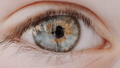 Photo Eye-Tracking