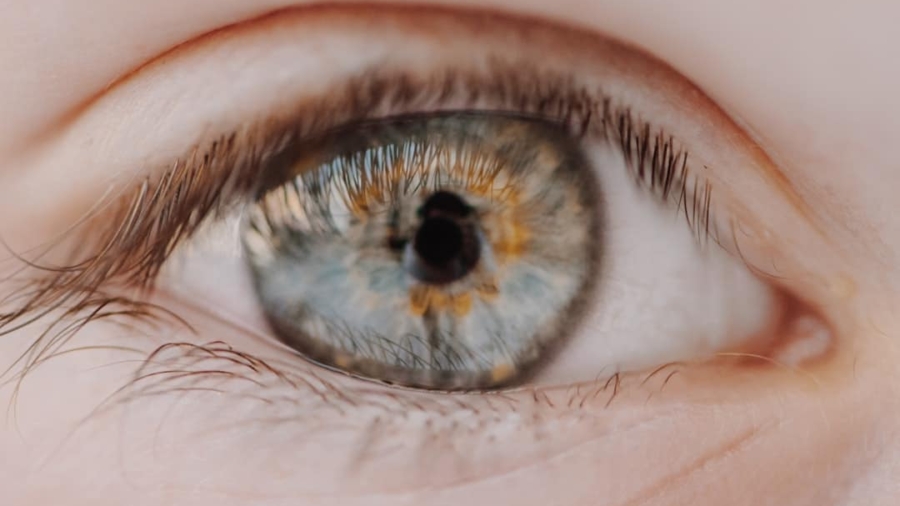 Photo Eye-Tracking