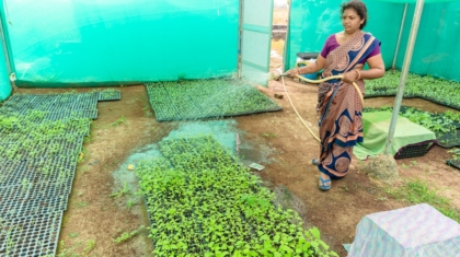 Photo Garden Irrigation