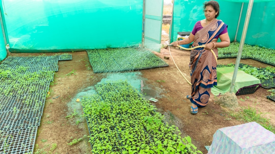 Photo Garden Irrigation