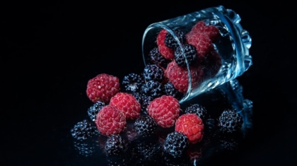 Photo Bio-Regenerative Life Support Systems