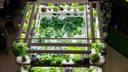 Photo Vertical Farming