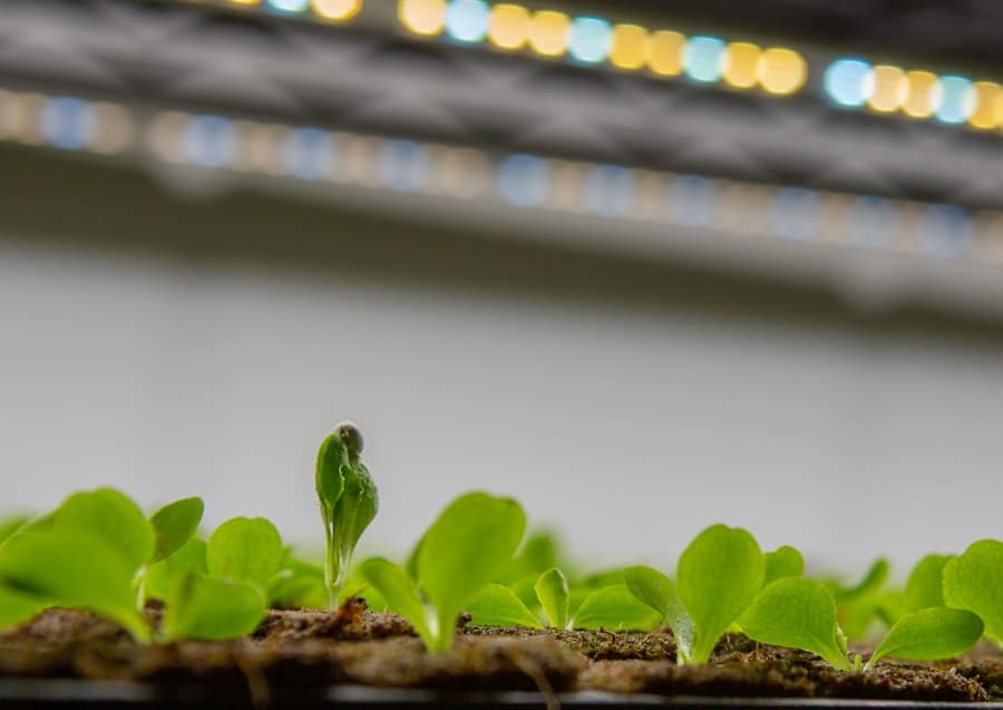 Photo Vertical Farming