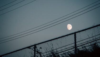 Photo Lunar Internet