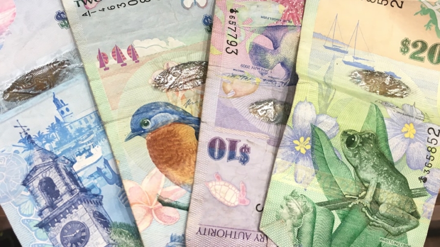 Photo Remittances