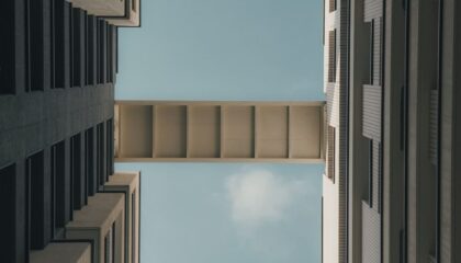 Photo Cognitive Architectures