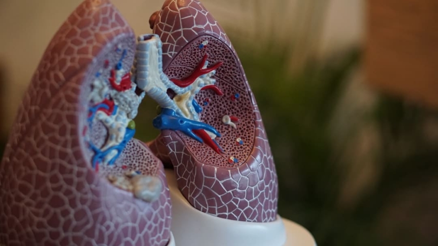 Photo Respiratory Rate Tracking