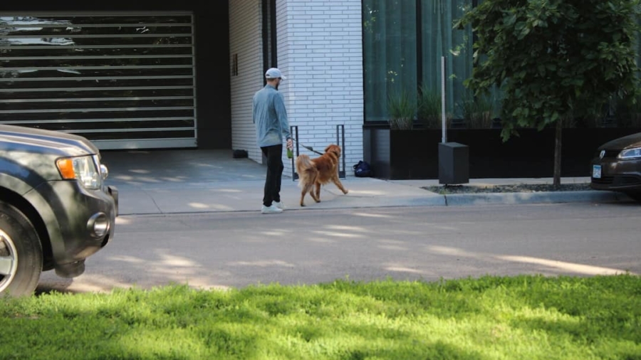 Photo Robotic Security Dogs