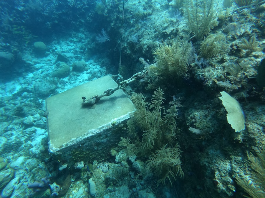 Photo Underwater Inspection Drones