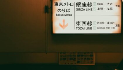 Photo AI, Translation Industry, Localization