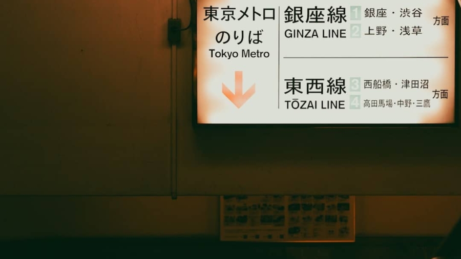 Photo AI, Translation Industry, Localization