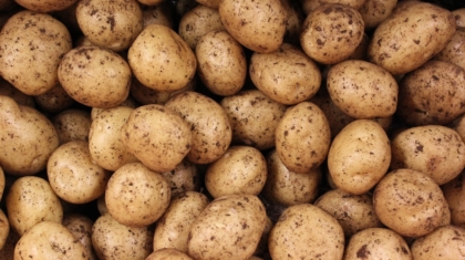 Photo Potatoes