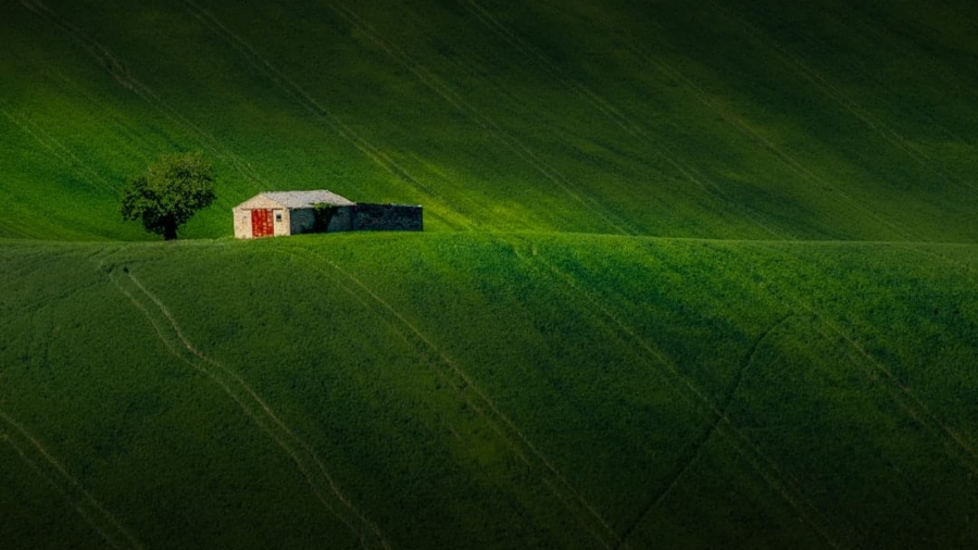 Photo Agriculture AI