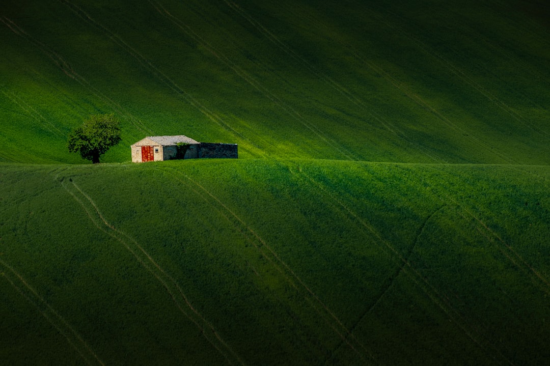 Photo Agriculture AI