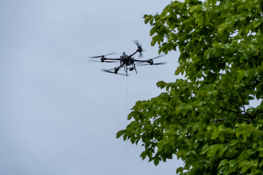 Photo Drones for Crowd Monitoring