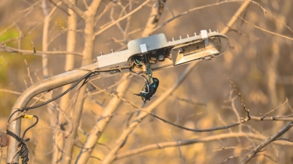 Photo Drones wildlife anti-poaching patrols