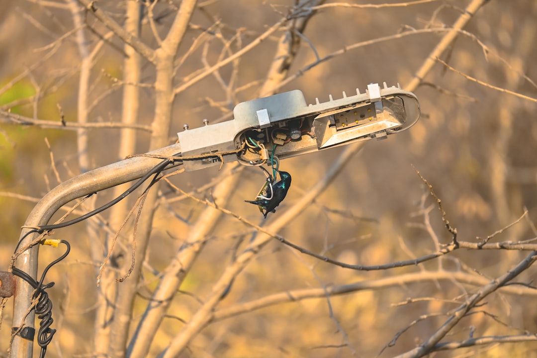 Photo Drones wildlife anti-poaching patrols