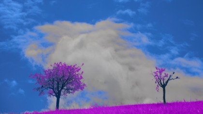 Photo Cloud-Native Games