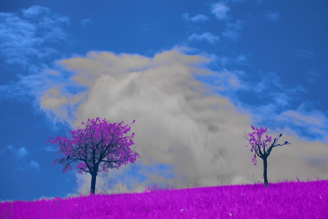 Photo Cloud-Native Games