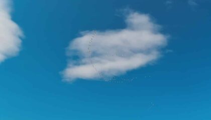 Photo Cloud Gaming Latency