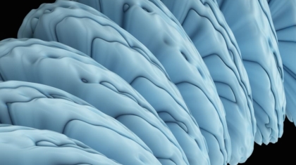 Photo Neuromorphic Hardware