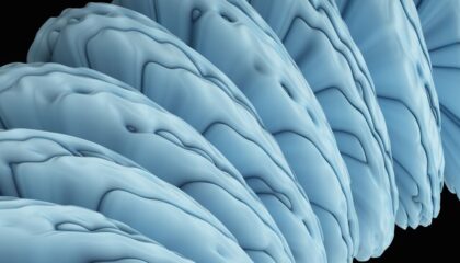 Photo Neuromorphic Hardware