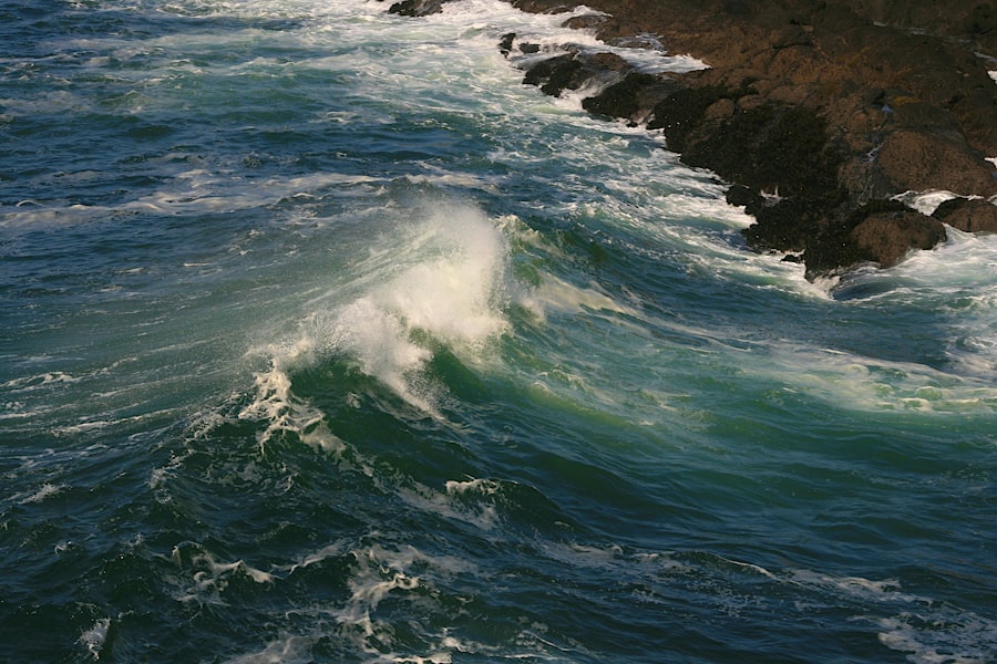 Tidal and Wave Energy Technologies