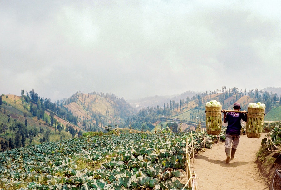 Supply Chain Security