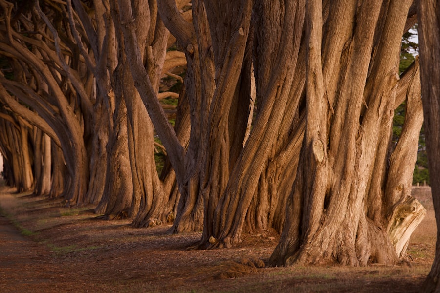 Playwright vs Cypress