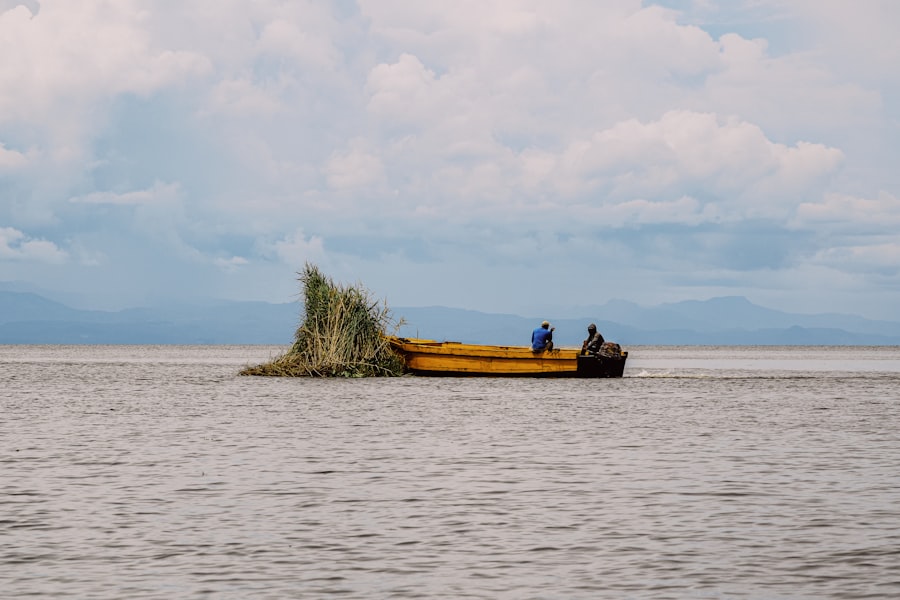 Illegal Fishing and Deforestation