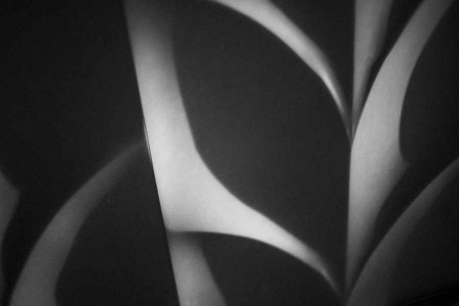 Exploring the Potential of Biomimicry in Sustainable Design 3 Biomimicry