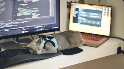 Photo Home Assistant Server