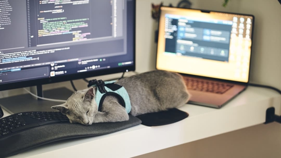 Photo Home Assistant Server