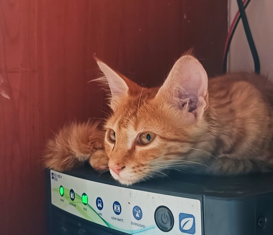 Photo Home Assistant Server