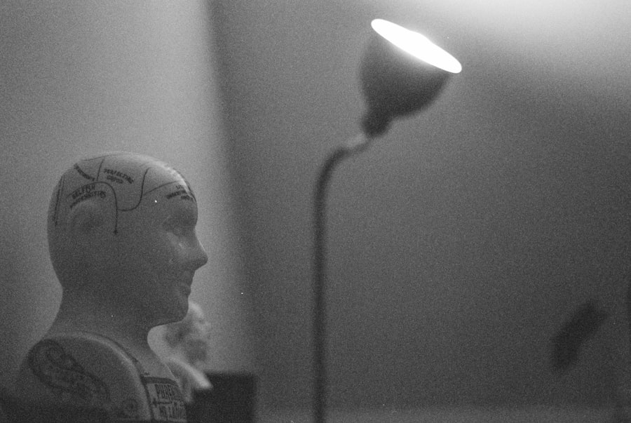 Photo Neuro-Education