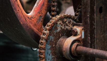Photo Rust