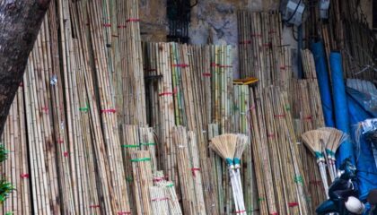 Photo Sustainable Building Materials