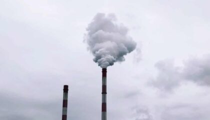 Photo Carbon Negative Technology
