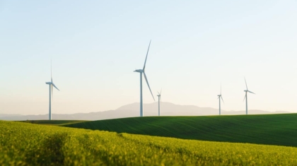 Photo Sustainability