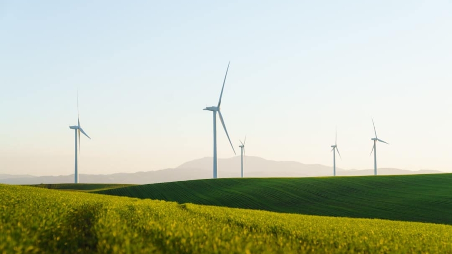 Photo Sustainability