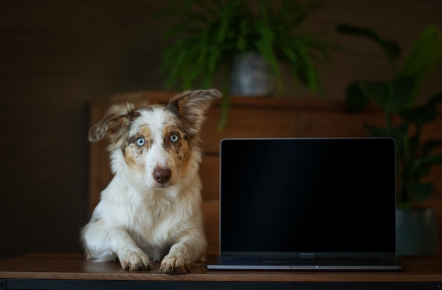Photo Privacy-Enhancing Technologies (PETs)
