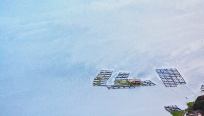 Photo Minecraft Server with Mods