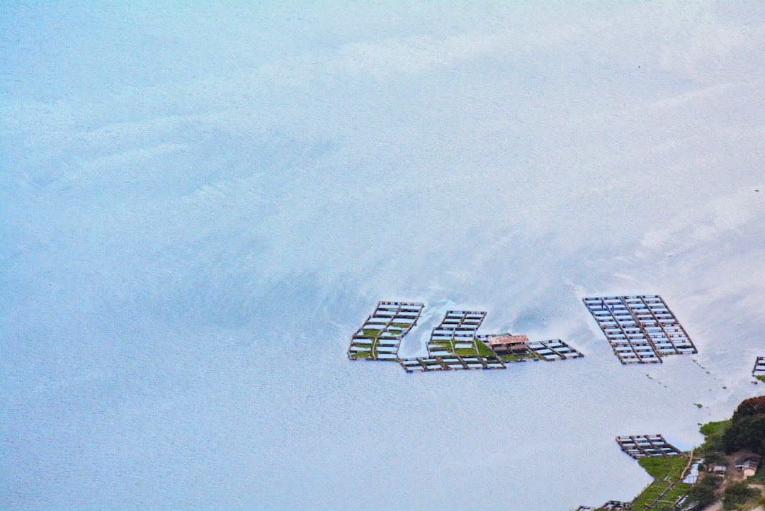 Photo Minecraft Server with Mods