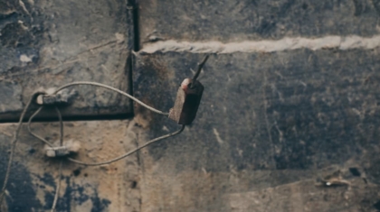 Photo Vertical Mice