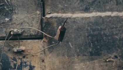 Photo Vertical Mice
